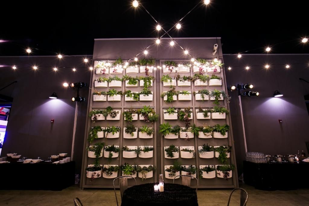 photo 0036-Colony-House-Elevated-Pulse-Party-Wedding-Vendor-Photos_zps049bc771.jpg