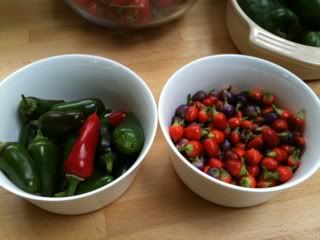 chillisgalore.jpg