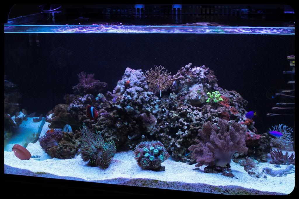 101_zps44029c38.jpg