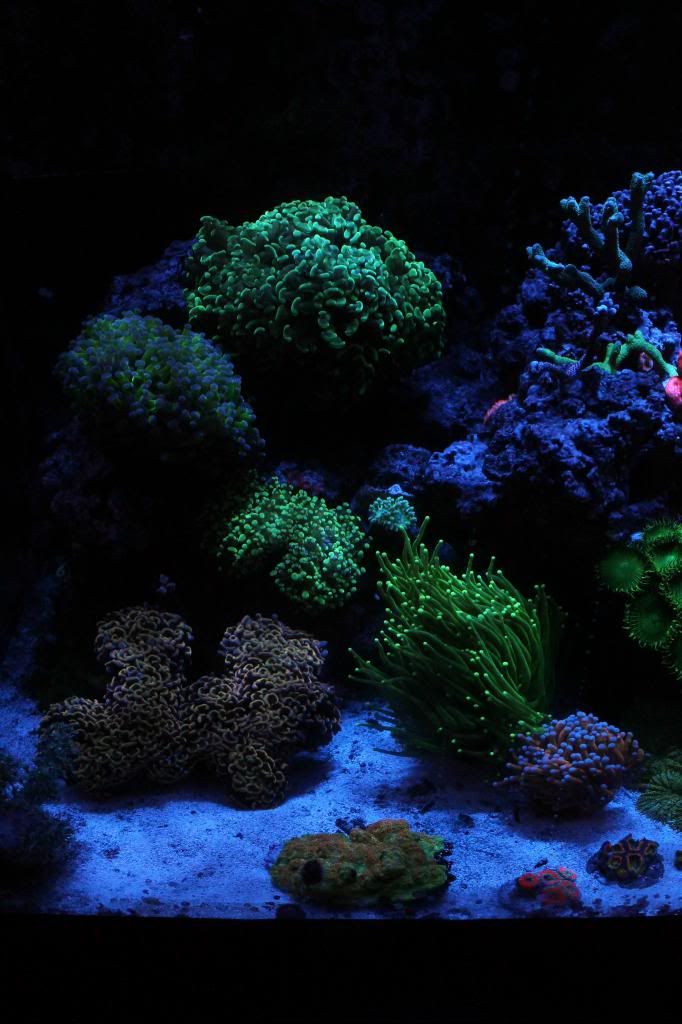 115_zps04bf724f.jpg