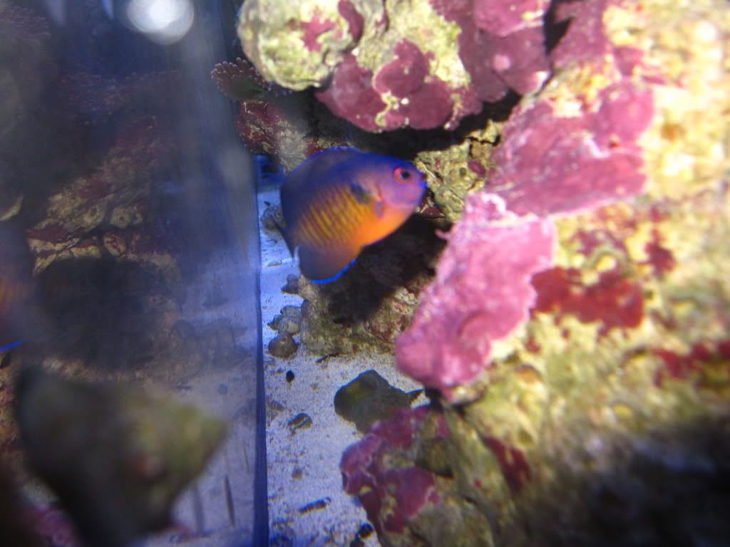 IMG_4031.jpg