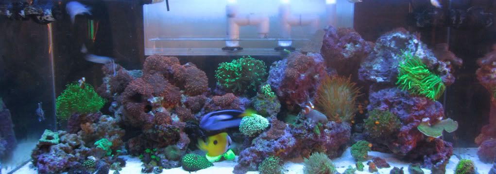 fts-1.jpg