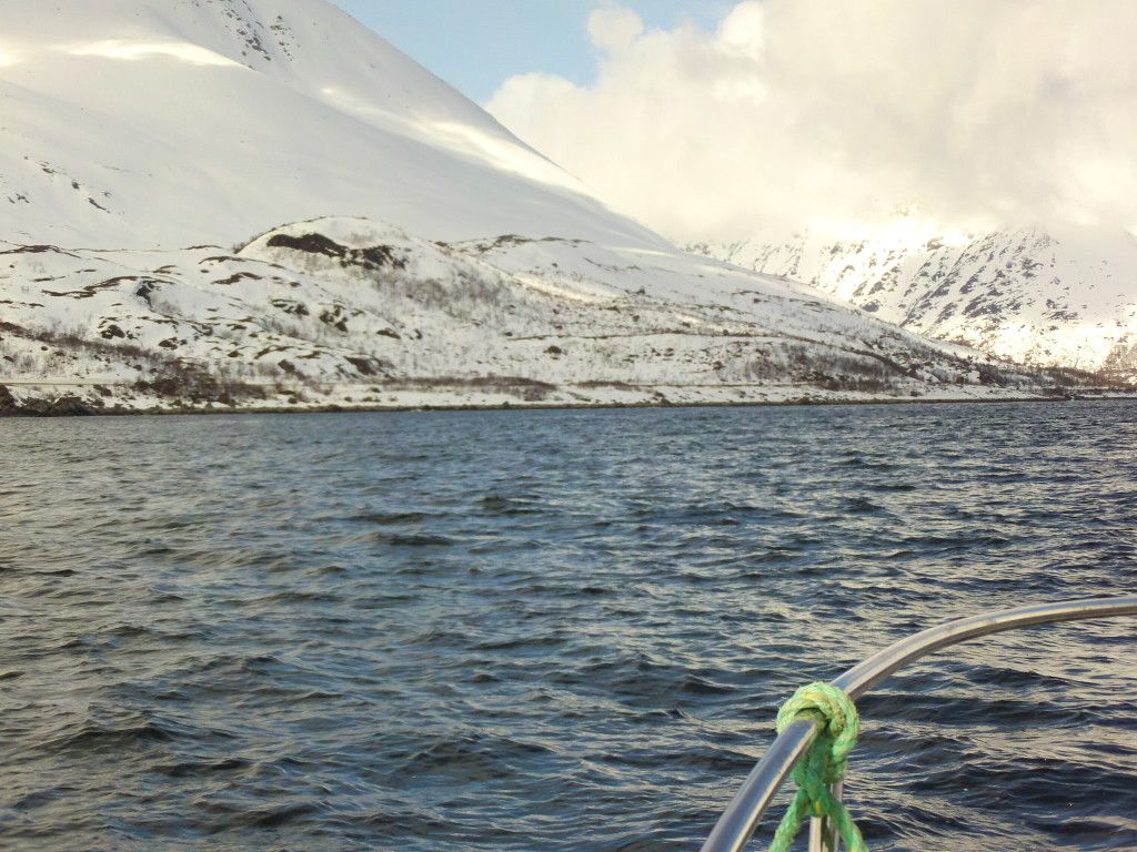 fjord.jpg