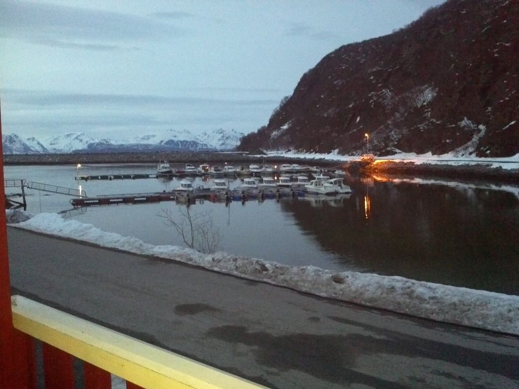 harbour.jpg