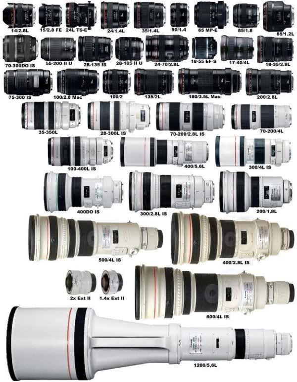 canon-lens-line.jpg