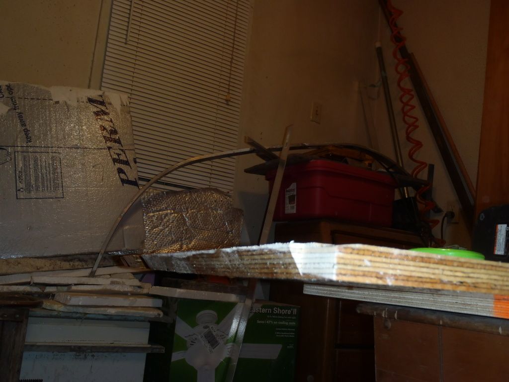 P1010847.jpg