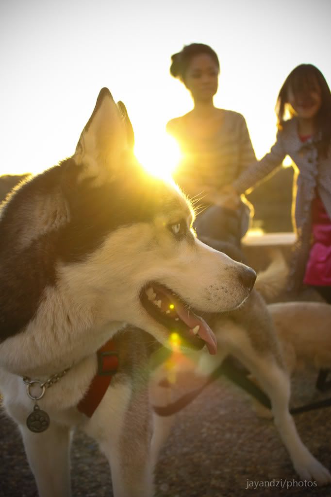 IMAGE: http://i1221.photobucket.com/albums/dd463/jayandzi/IMG_0328v2.jpg