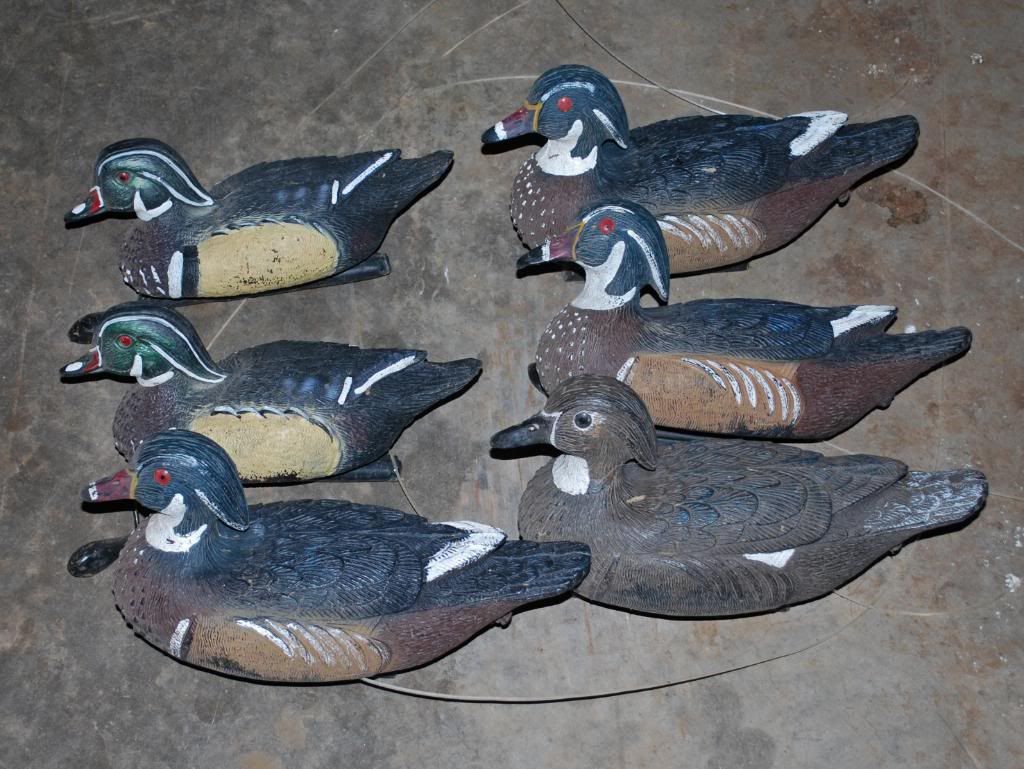 Silver+Wood+Ducks+For+Sale Silver Wood Ducks For Sale http://www.texashuntingforum.com/forum ...
