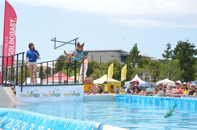 dockdiving1_zpsa72c56e8.jpg