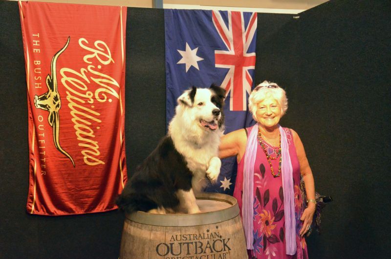 outbackdog_zps61421a57.jpg