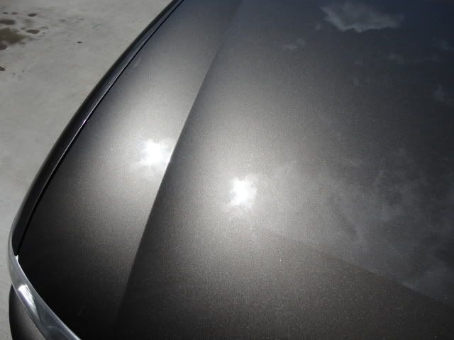 DSC01428.jpg