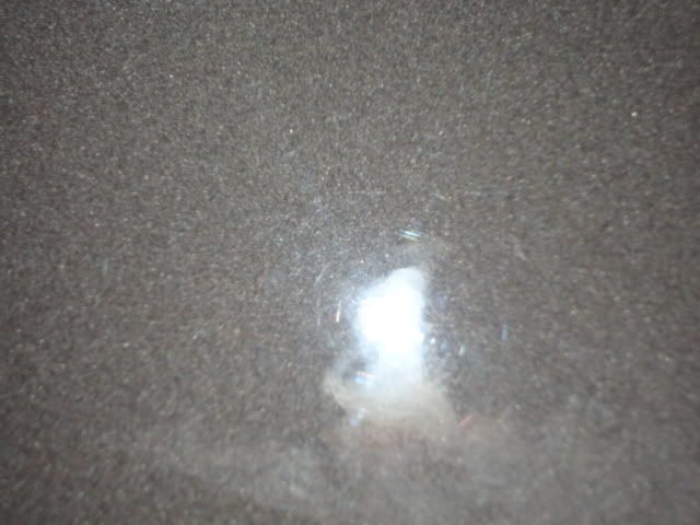 DSC01429.jpg