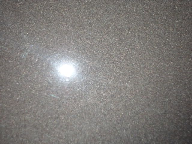 DSC01430.jpg