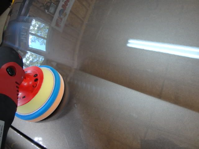 DSC01442.jpg