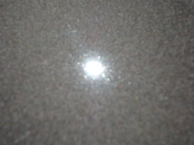 DSC01457.jpg