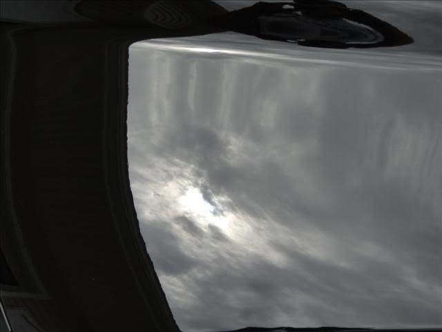 DSC01315.jpg