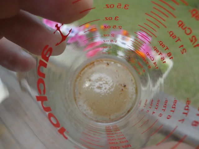 DSC01404.jpg
