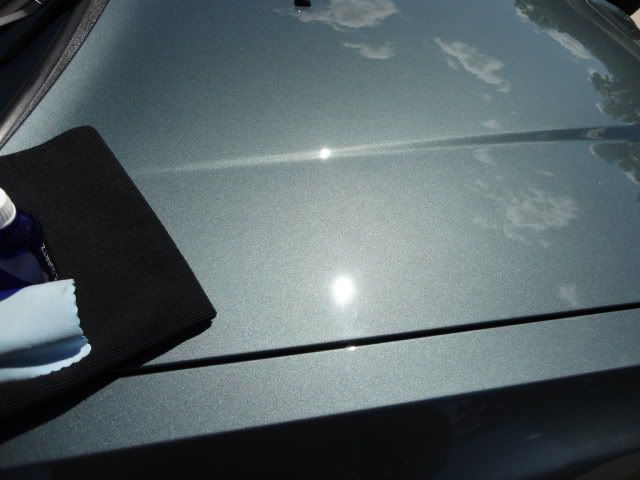 DSC01410.jpg