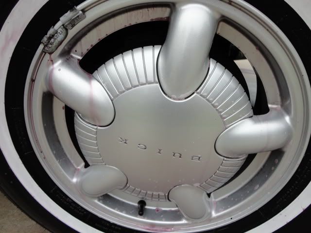 DSC01487.jpg
