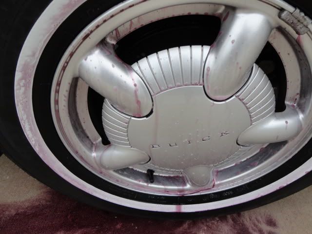DSC01488.jpg