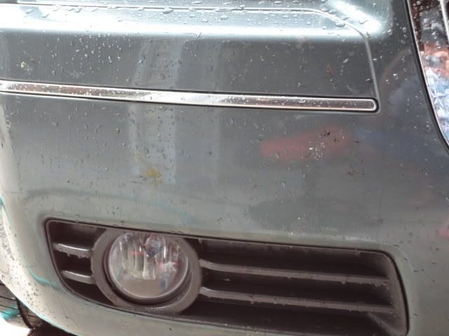 DSC01549.jpg