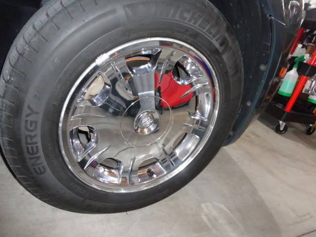 DSC01624.jpg