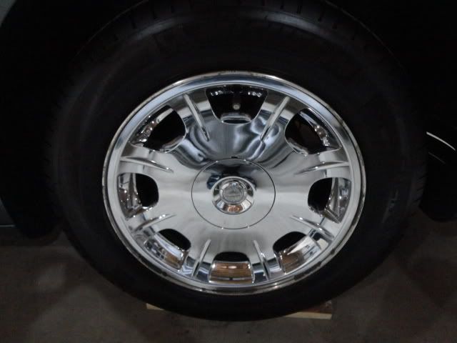 DSC01649.jpg