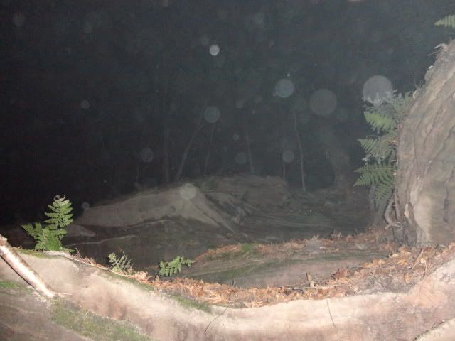 DSC01697.jpg