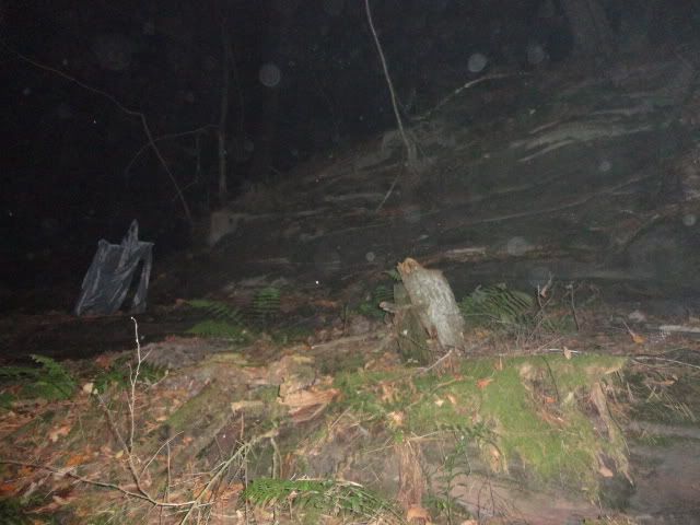 DSC01698.jpg