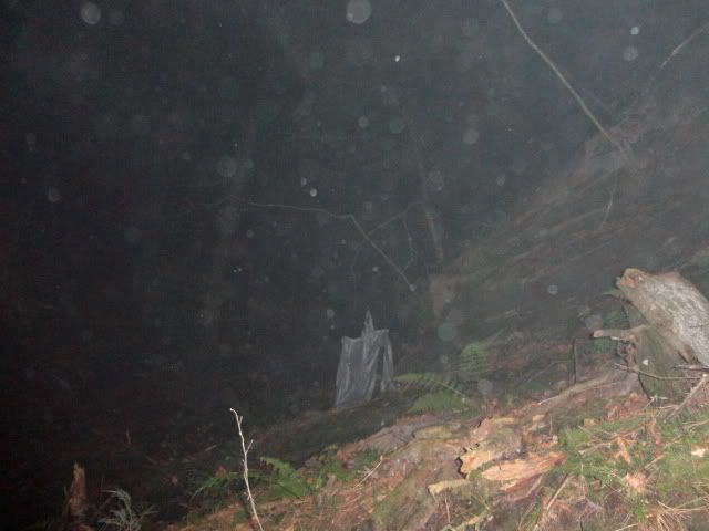 DSC01699.jpg