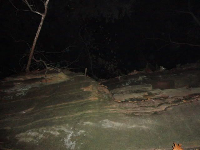DSC01700.jpg