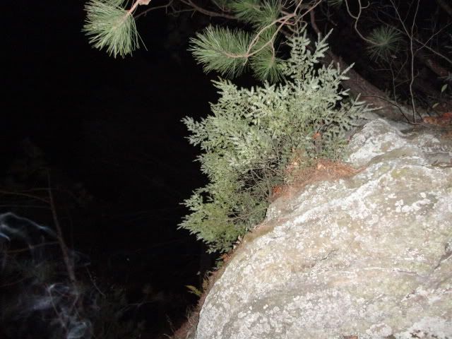 DSC01705.jpg