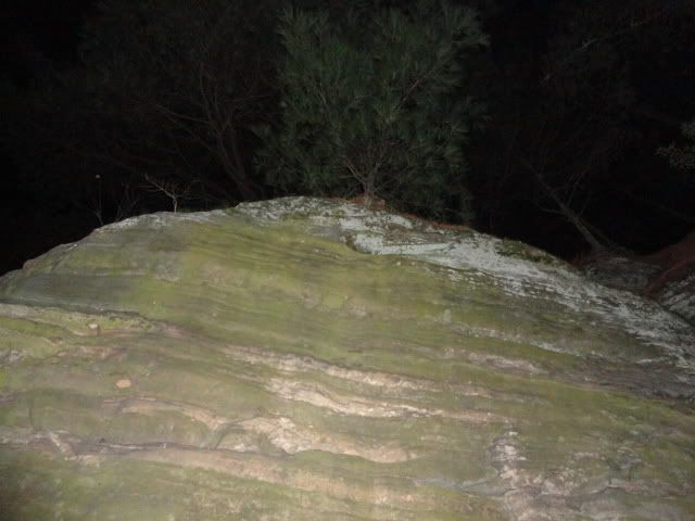 DSC01707.jpg