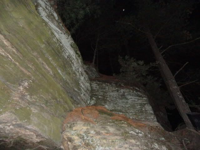 DSC01708.jpg