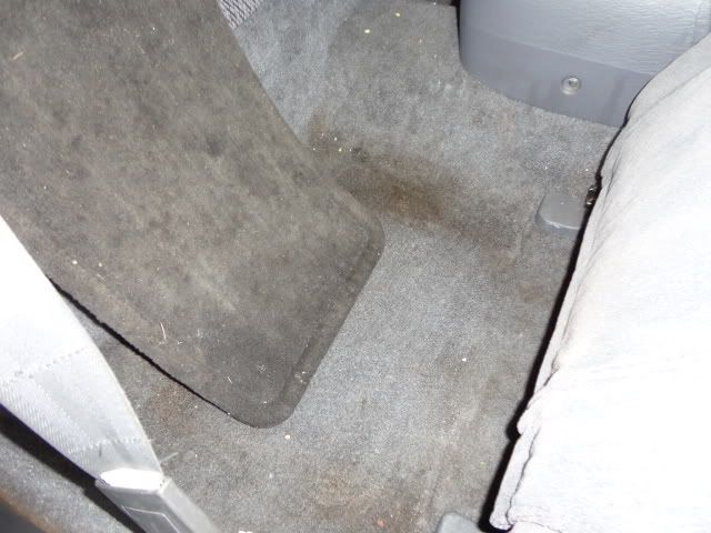 DSC01783.jpg
