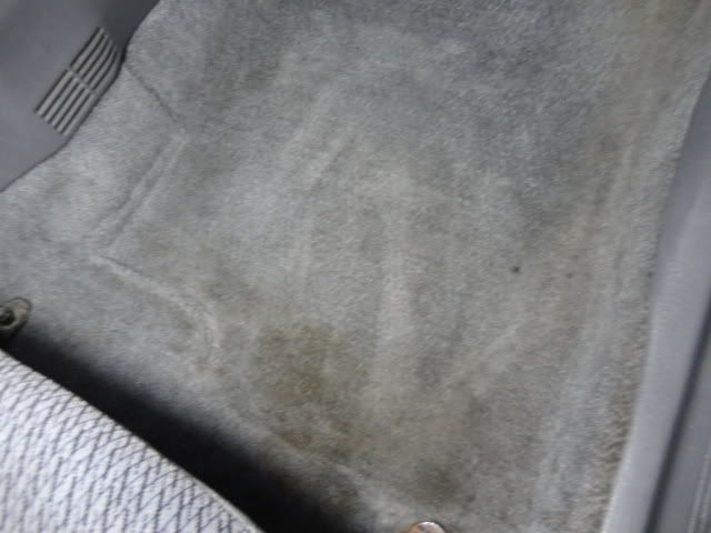 DSC01804.jpg