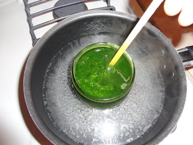 DSC01766.jpg