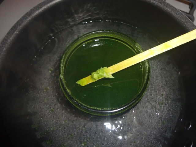 DSC01768.jpg