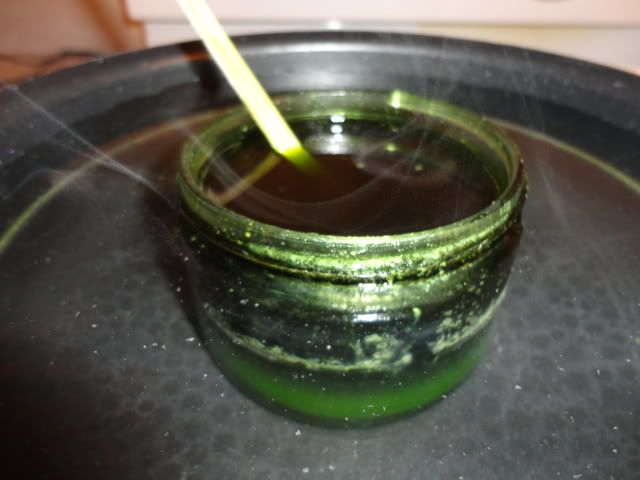 DSC01775.jpg