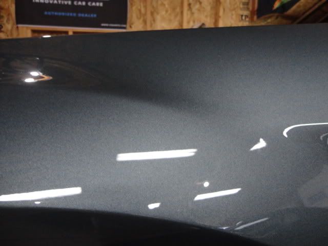 DSC01936.jpg