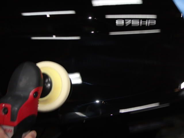 DSC01944.jpg