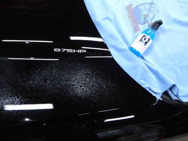 DSC01947.jpg