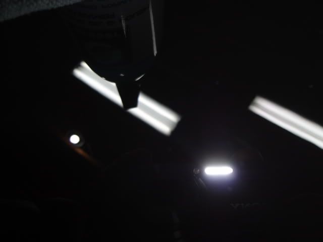 DSC01950.jpg
