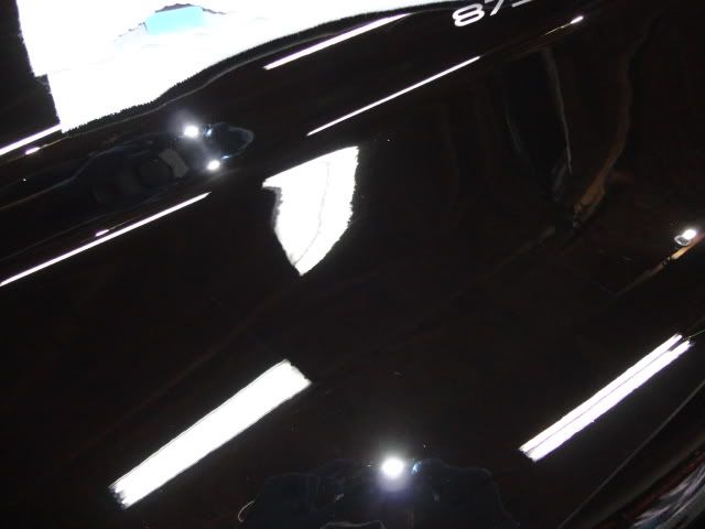 DSC01962.jpg