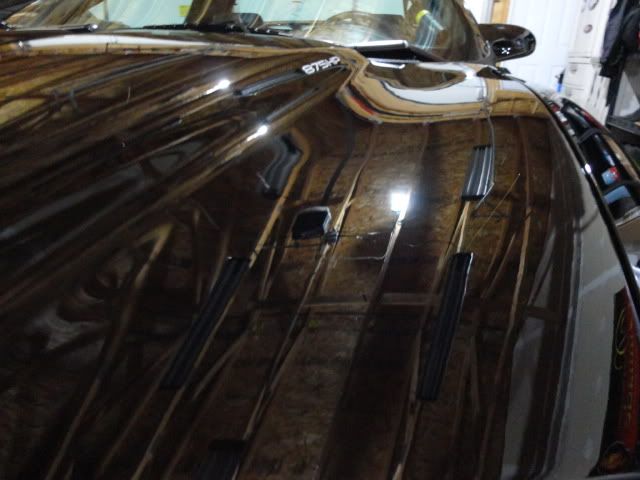 DSC01968.jpg