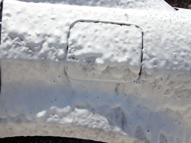 DSC02212.jpg
