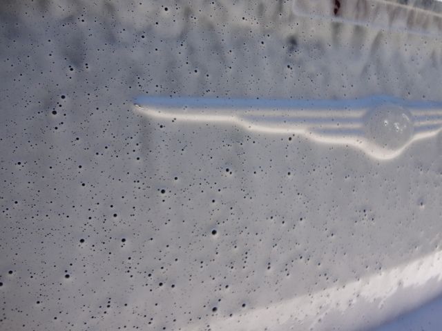 DSC02214.jpg