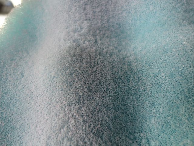 DSC02668.jpg