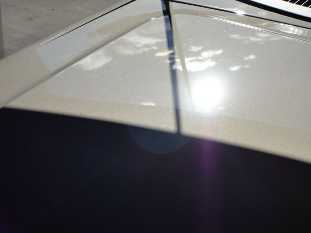 DSC02671.jpg