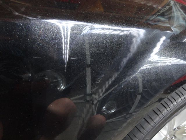 DSC02286.jpg